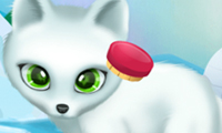 0/656051435d3705581c1865c0911c01b7126d56/paws-to-beauty-arctic-edition.jpg
