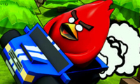 0/f8175f60ef9bc26a82e972b3e91b5a8a029a74/poultry-ace-downhill.jpg