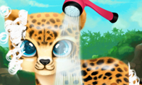 0/f9f462c0d9a062ab0900dfc5d1ec9b8fbd4d68/paws-to-beauty-baby-beast.jpg