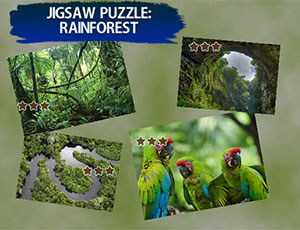 1/0b2ad5c4a878a7fdabad90850476ef2d9316d5/jigsaw-puzzle-rain-forest.jpg