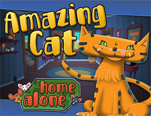 1/83f9de69f089aaf16362c1ff99e185f06f92df/amazing-cat.jpg