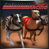 1/c9675857f8927b6fd8b06be00a7ddd1e5603ab/greyhound-racing.jpg