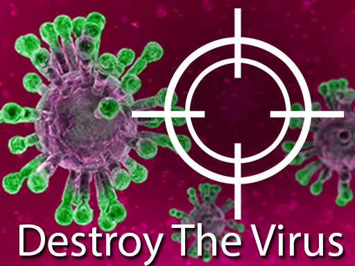 10/4fbe0f542aee6414fe9f3ab3034698a9c9f3fe/destroy-the-virus.jpg