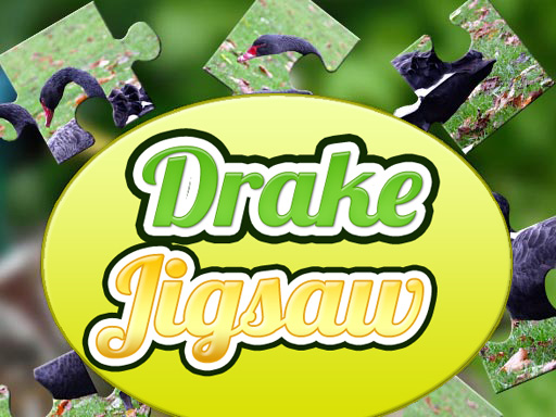 12/5af8d0f78ab8d0379c579f02b49f51872d887c/drake-jigsaw.jpg