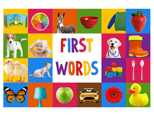 12/ca4b898f39bc71e13374c4ac7db155b7892089/first-words-game-for-kids.jpg