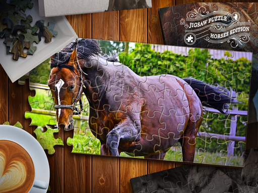 16/f7bbb21c26445b26677e6b91c9b30cec79feca/jigsaw-puzzle-horses-edition.jpg
