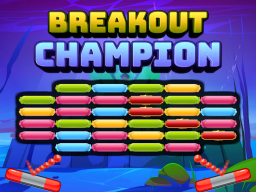 17/12560484828502faf1b626487f0464b17769e9/breakout-champion.jpg
