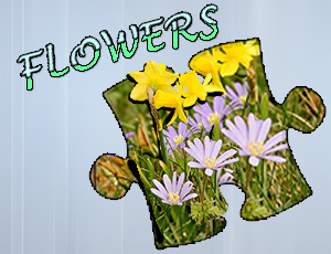 2/112cc9e5d29dd13fc355eb359a28a7e38e0ca9/jigsaw-puzzle-flowers.jpg