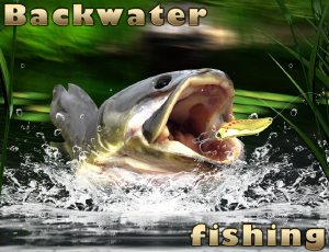 2/4740eee340238e081f356f369a3de3c0cc30a9/backwater-fishing.jpg