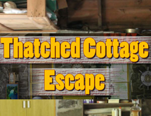 2/5b2047ab9396a43b5566794fac6034ddb4d314/thatched-cottage-escape.jpg