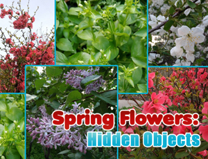 2/6b74c90660258465ca9629590f16e94910daa9/spring-flowers-hidden-objects.jpg