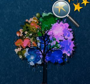 2/70ef7852a2555236df8139d5d0523cccf08e04/forest-hidden-stars.jpg