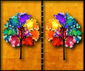 2/718d80bc00e32c0db9b908de2b3b7d50d61c09/forest-spot-the-difference.jpg