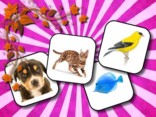 2/ba14caa536055413a96a220324f521e7fb2437/animals-memory.jpg