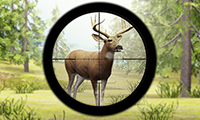 20/9d266f1569281cc3f16a9bd81e8ae18b08ab6a/contract-deer-hunter.jpg
