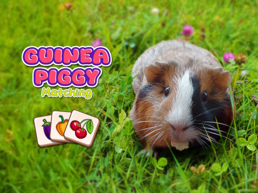 21/168113d380492b8435af6da3fa04bbc0af16f4/guinea-piggy-matching.jpg