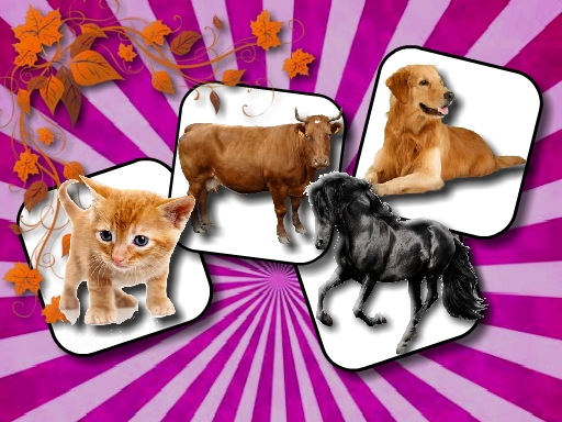 3/85be5aa13c46feb6e38da0424be1e963d34d6d/domestic-animal-memory-challenge.jpg