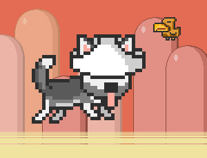 4/5043835d8282decc44560251650199beddc136/mr-jump-husky.jpg