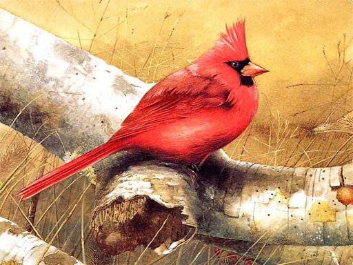 5/0a73ca2a5d124bc1c7c89fc382066bdb53afcc/art-birds-puzzle.jpg