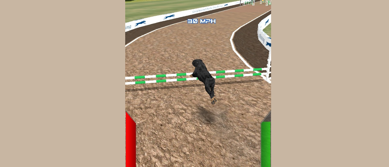 5/172d6a713c8ae44a55a2c2edb9c7717cc0e8a7/dog-racing-simulator.jpg