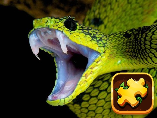 5/c6123d50cf2065dfb6a88bb6077d32e3830e16/snake-puzzle-challenge.jpg