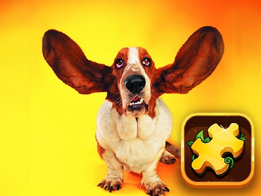 6/232316e93995306a3f33f565de49d7bf4f6c48/funny-dogs-puzzle.jpg