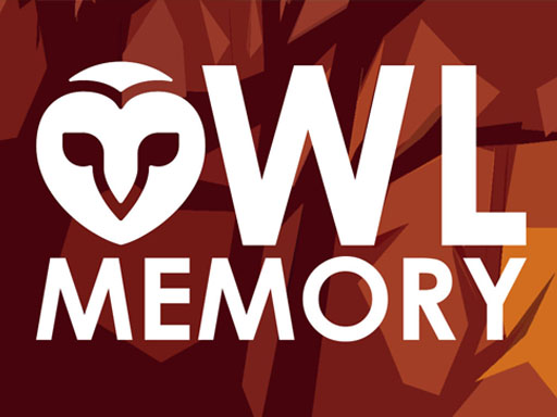 6/618de517737680f677daa27bed2547f2403af5/owl-memory.jpg