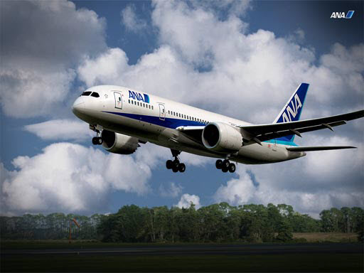 6/b9e6c31b0a6813e76b5f1a1a3223b0b02ecf55/boeing-dreamliner-puzzle.jpg