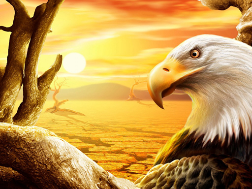 7/3e1f5a03184ce94632e0a5b5e1035be0d277f6/eagle-slide.jpg