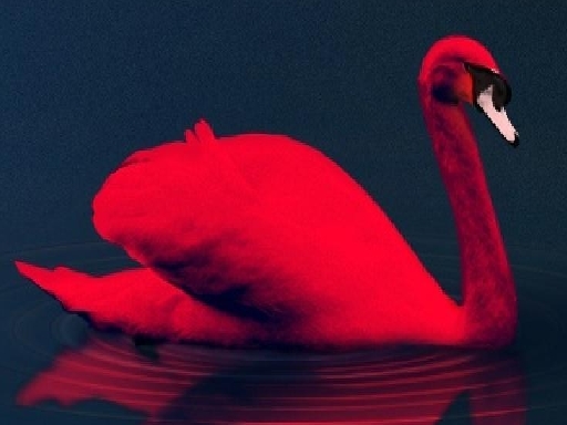 7/d075d9a82de6c2bea2508553c62d6f1699ac8a/love-birds-puzzle.jpg