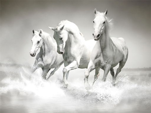 8/cf4f40f0db8c86bd66e14eecc8c8affe205db4/horses-puzzle.jpg
