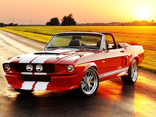 9/5c45fa432842dd74a39ea39bdb8ebd216c09ad/fancy-mustang-differences.jpg