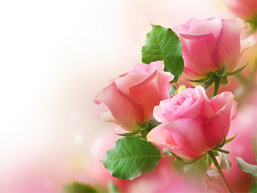 9/d31ff220dbcc118c2b4f6951490acc098de46c/pink-roses-puzzle.jpg