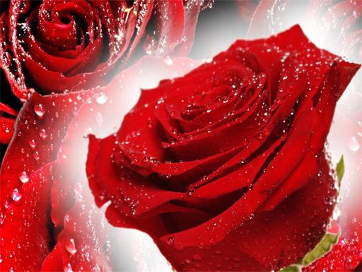 9/fe24a9242dd5ae7594519980402b84a51cac9f/red-roses-puzzle.jpg
